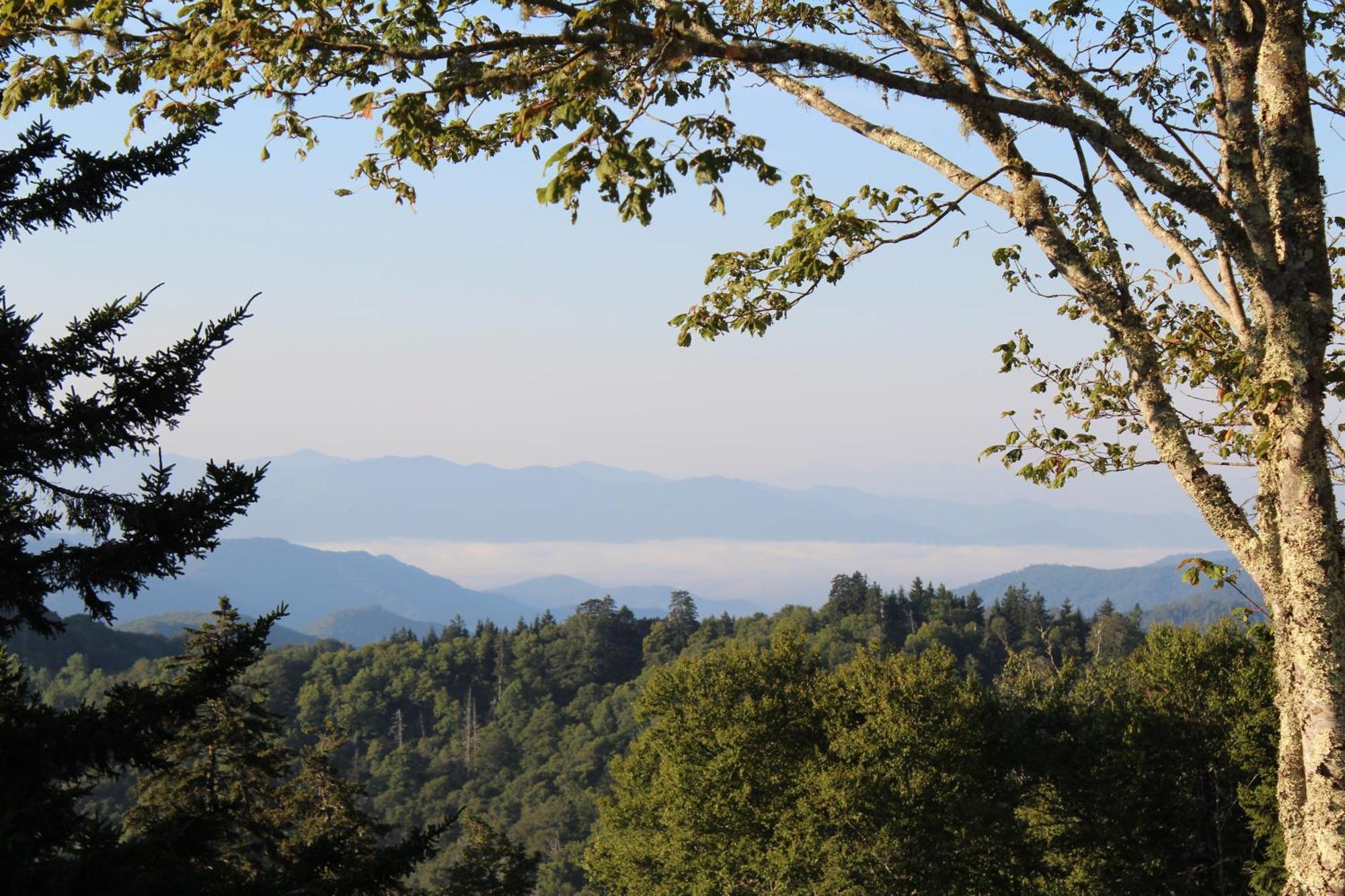 Ferienwohnung Stairway To Heaven, Breathtaking Mtn Views Indoor Pool & Hot Tub Gatlinburg Exterior foto